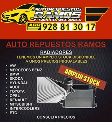 auto repuestos ramos arrecife